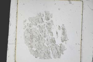 Plane Polarized, S47888