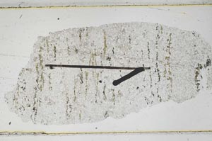 Plane Polarized, S47891