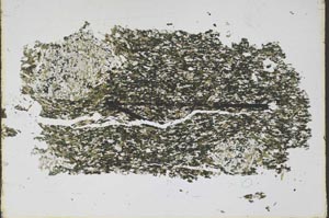 Plane Polarized, S47894