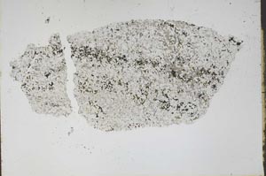 Plane Polarized, S47895