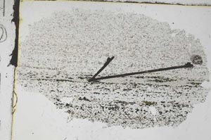 Plane Polarized, S47897