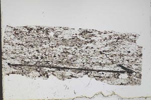 Plane Polarized, S47901