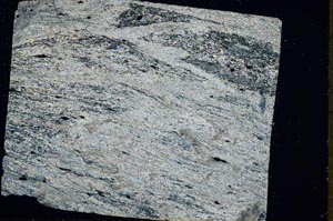 Cross Polarized, S47908