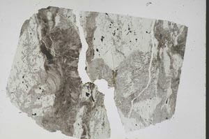 Plane Polarized, S47909