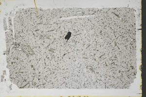 Plane Polarized, S47913