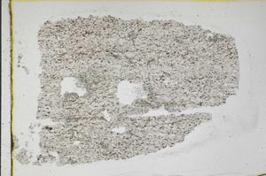 Plane Polarized, S47924