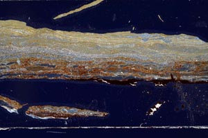 Cross Polarized, S47954