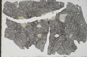 Plane Polarized, S47955