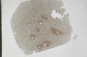 Plane Polarized, S47979