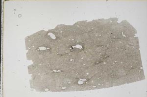 Plane Polarized, S47980