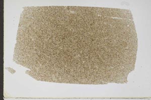 Plane Polarized, S47989
