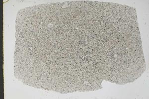 Plane Polarized, S48007