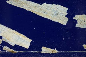 Cross Polarized, S48065