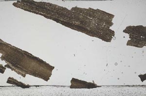 Plane Polarized, S48065