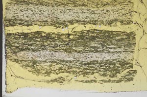 Plane Polarized, S48086