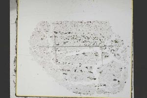 Plane Polarized, S48089