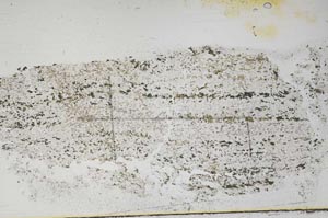 Plane Polarized, S48090