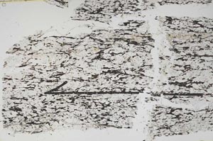 Plane Polarized, S48097