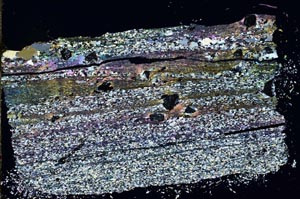 Cross Polarized, S48125