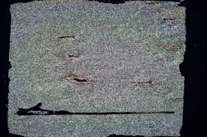 Cross Polarized, S48126