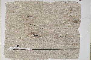 Plane Polarized, S48126