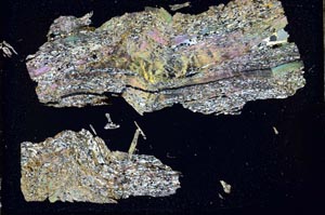 Cross Polarized, S48127