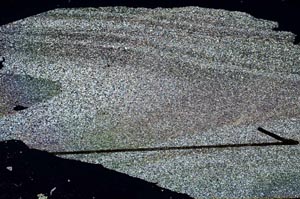 Cross Polarized, S48128