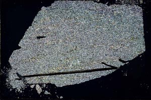 Cross Polarized, S48129