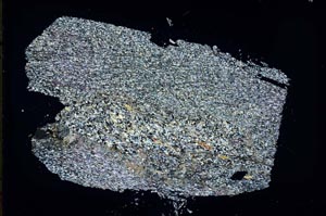 Cross Polarized, S48130