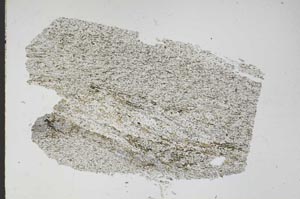 Plane Polarized, S48130