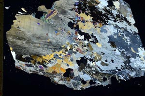 Cross Polarized, S48131