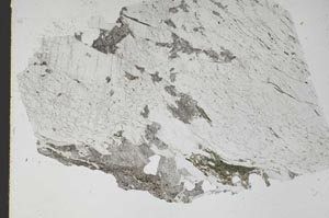 Plane Polarized, S48131