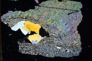 Cross Polarized, S48132