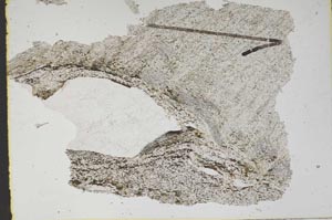 Plane Polarized, S48132