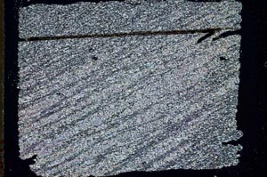 Cross Polarized, S48133