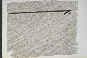 Plane Polarized, S48133