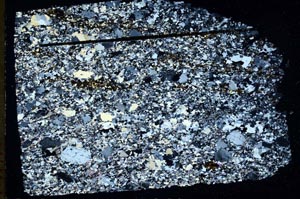 Cross Polarized, S48136