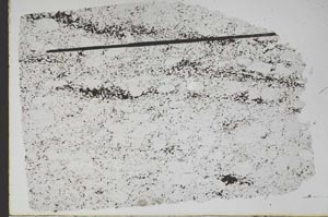 Plane Polarized, S48136