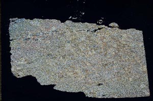 Cross Polarized, S48144