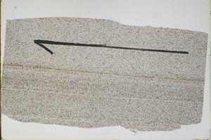 Plane Polarized, S48146