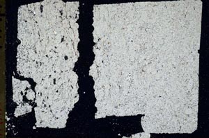 Cross Polarized, S48149