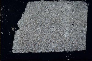 Cross Polarized, S48153