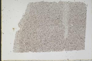 Plane Polarized, S48153