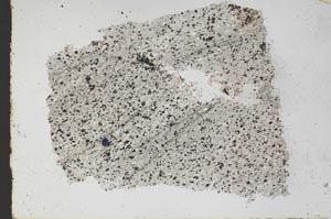 Plane Polarized, S48154