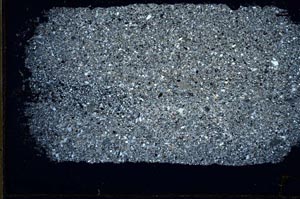 Cross Polarized, S48182