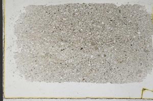 Plane Polarized, S48182