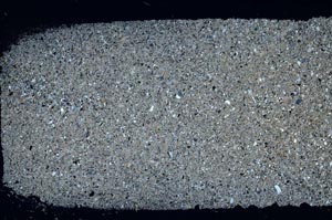 Cross Polarized, S48183