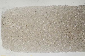 Plane Polarized, S48183