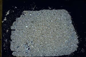 Cross Polarized, S48187