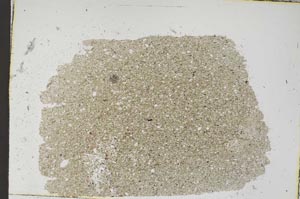 Plane Polarized, S48187